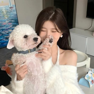 角落里的阳光